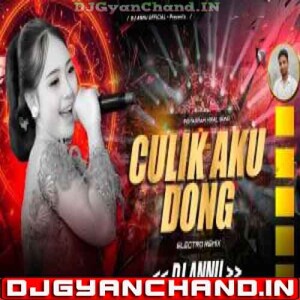 Anana Pattiya Culik Aku Dong Instagram Viral Remix - DJ Annu Gopiganj